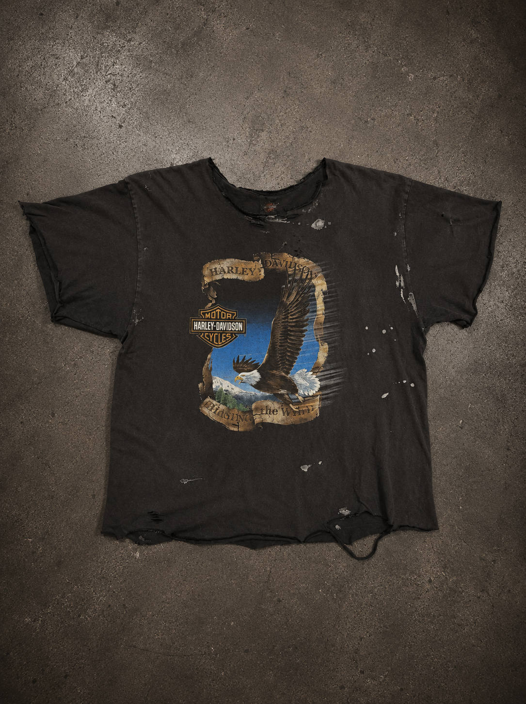 Vintage Distressed New Smyrna Beach “Chasing the Wind” HD T-Shirt