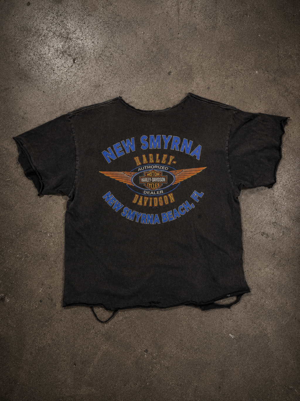 Vintage Distressed New Smyrna Beach “Chasing the Wind” HD T-Shirt